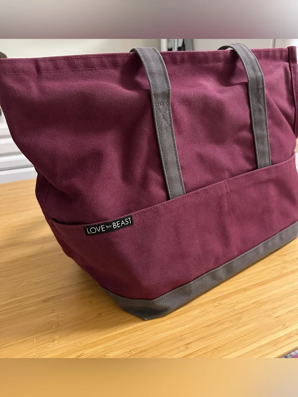 Love Thy Beast Canvas Dog Tote- Medium dog (15lbs)